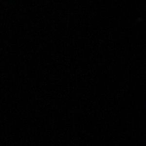 Meet your Posher, Lizzy